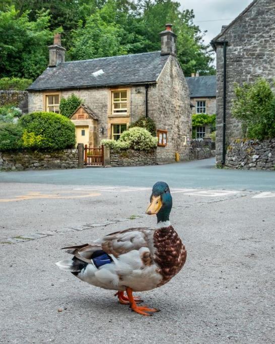 Duck Cottage Milldale Alstonefield Peak District Alstonfield Exterior photo
